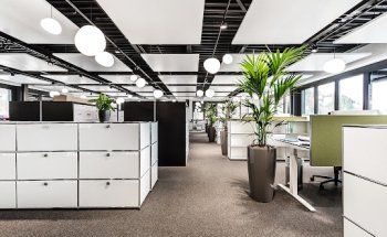 Auwiesen Immobilien AG