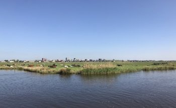 Peter Pals Makelaardij