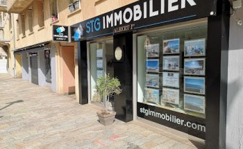 STG IMMOBILIER albert 1er