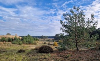 VSO makelaars & taxateurs