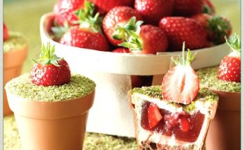 agence immobilière CANNES entreprise