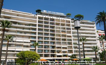 Croisette International, Immobilier Cannes