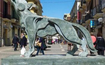 Affiliato Tecnorete Immobiliare Cosenza