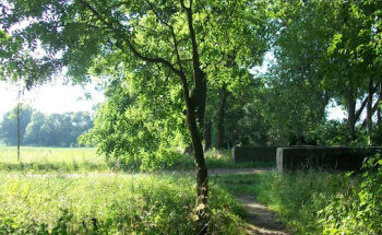 H. Peter Felgner Immobilien e.K.