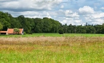 Makelaars & Rentmeesters Overijssel | Landerijenbureau Kromhof-Pullen