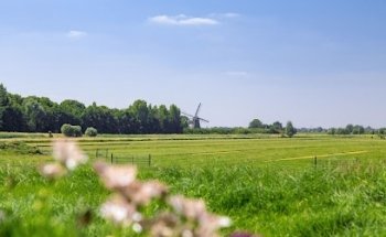 Redres de Bouwkunstmakelaar