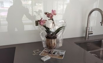 STAUB Immobilien Treuhand AG