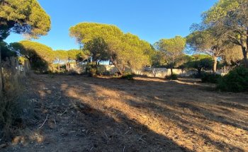 Pirenilla Gestion Inmobiliaria