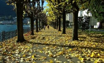 Immocasa Inn sagl, Servizi Immobiliari