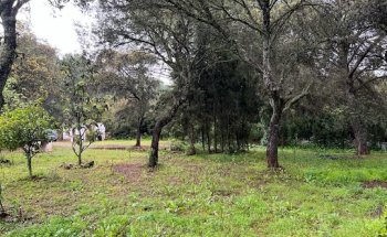 Parcesur Gestiones Inmobiliarias. S.L.