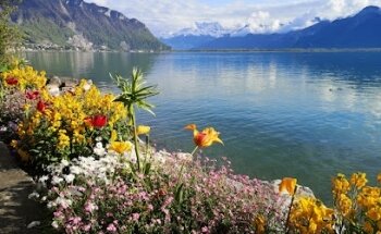 Montreux-Lorraine S.A.