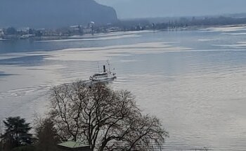 Immobil' Dream Sàrl