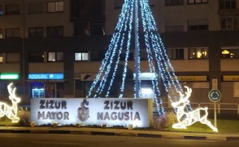 INMOBILIARIA ARCO ZIZUR