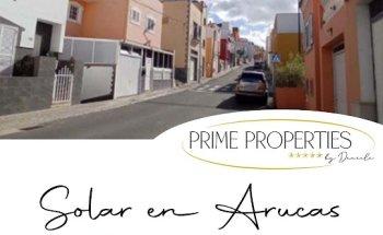 Prime Properties by Daniela