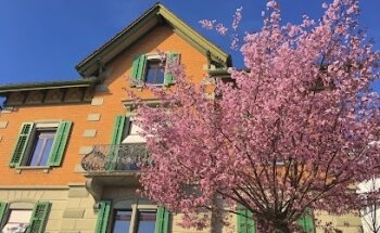 Citypark Immobilien AG