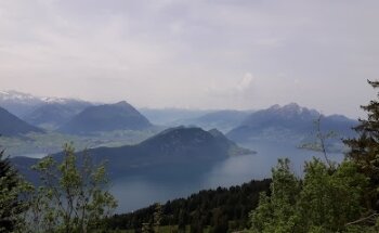 Brunner Immobilien und Treuhand