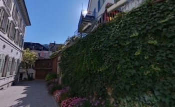 Terrier Real Estate Services AG