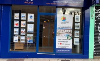 reines red de inmobiliarias españolas