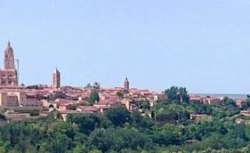 Segopuzzle Gestion Inmobiliaria