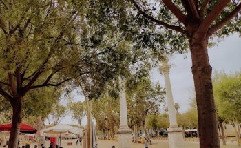 INMOBILIARIA ALAMEDA, PISOS Y CASAS EN SEVILLA