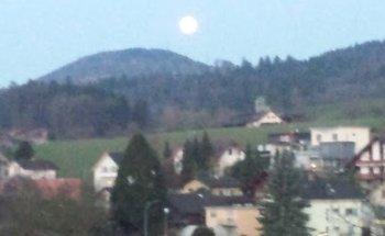 Allmend Immobilien AG