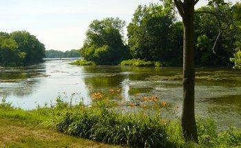 Tailored Real Estate Services, LLC