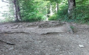 ValueImmo Services GmbH