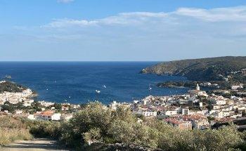 Inmobiliaria Soms Granados