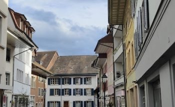 Frieder Immobilien Treuhand