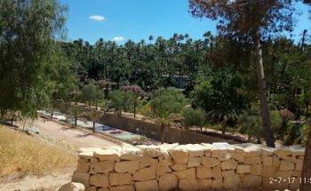 Inmobiliaria Dama De Elche