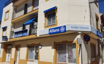 INMOBILIARIA GRIÑAN
