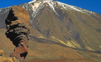 Inmobiliaria Tenhogar