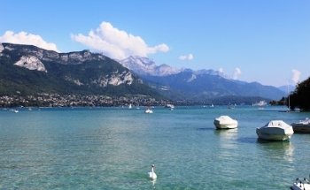 SWEET PROPERTY - Agence Immobilière