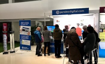 INMOBILIARIA LUIS PERALES