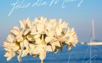 L'Agence Inmobiliaria Benalmádena