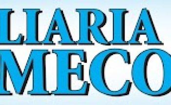 Inmobiliaria Mecofin