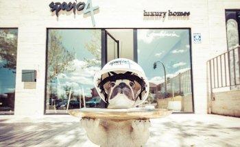 Spacio4 luxury homes