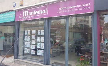 Finques Montemol
