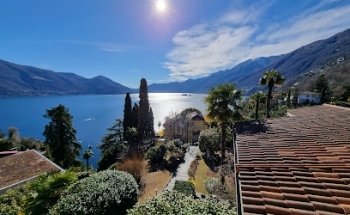 Casa Wülfingen, Lappe & Co.