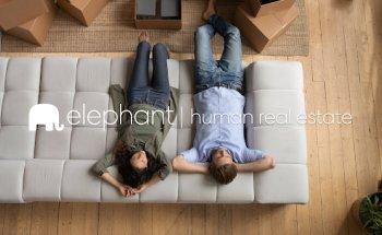 Elephant Real Estate Room Villalba