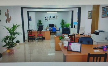 GDIBO (Gestoria del Inmueble Bonet)