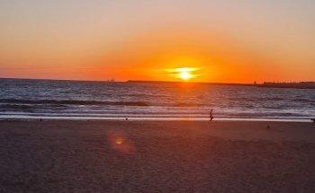 Alquiler Y Compra Venta de Viviendas