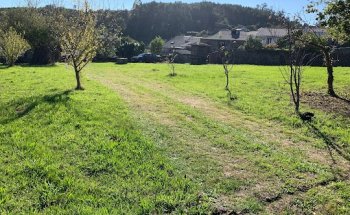 Housefulness Consultoría y Servicios Inmobiliarios