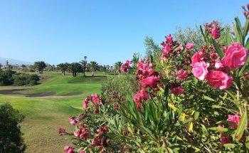 Golf del Sur Property