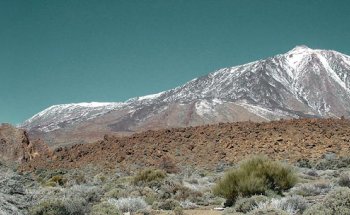 Asesor inmobiliario Joseph Suñe