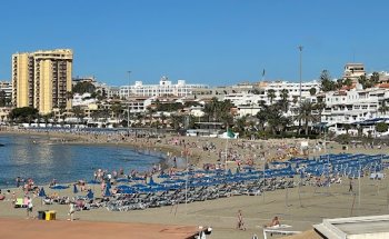 Tenerife Property Group Inmobiliaria
