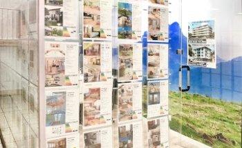 Inmobiliaria Mamut Gunea