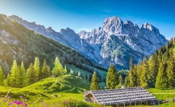 Heidi Bühler Immobilien