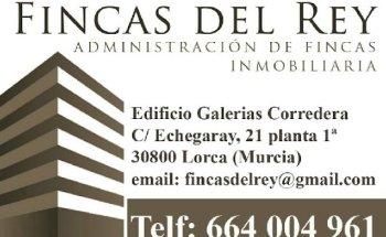 Fincas del Rey