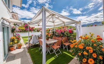 Jurassic Home Immobilier